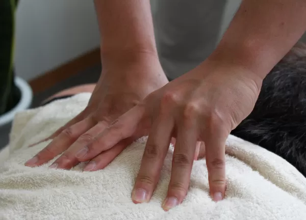所沢で腱鞘炎で通う整骨院をお探しの方はムネタ鍼灸整骨院にまでご相談ください。